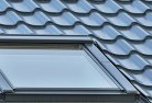 Mount Burrellskylight-replacements.jpg; ?>